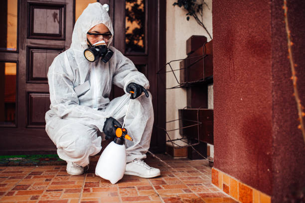 Reliable Cockroach Control contractor in Oakland, CA by Nex Pest Control